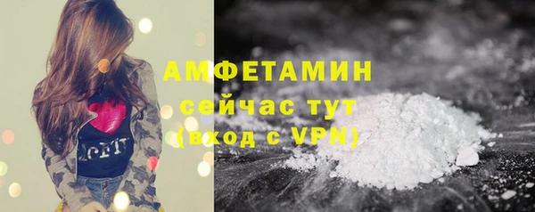 стаф Верея