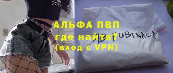 стаф Верея