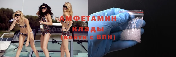 стаф Верея