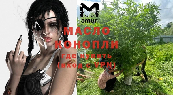 стаф Верея
