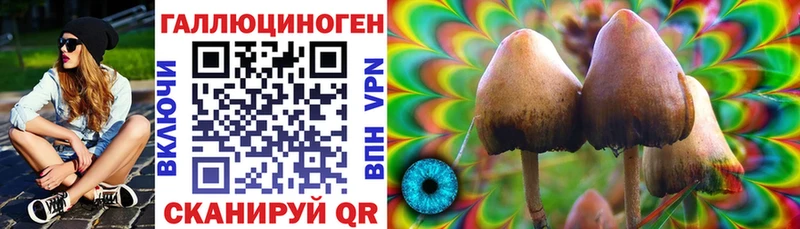 Галлюциногенные грибы прущие грибы  Купить где  Нерехта 
